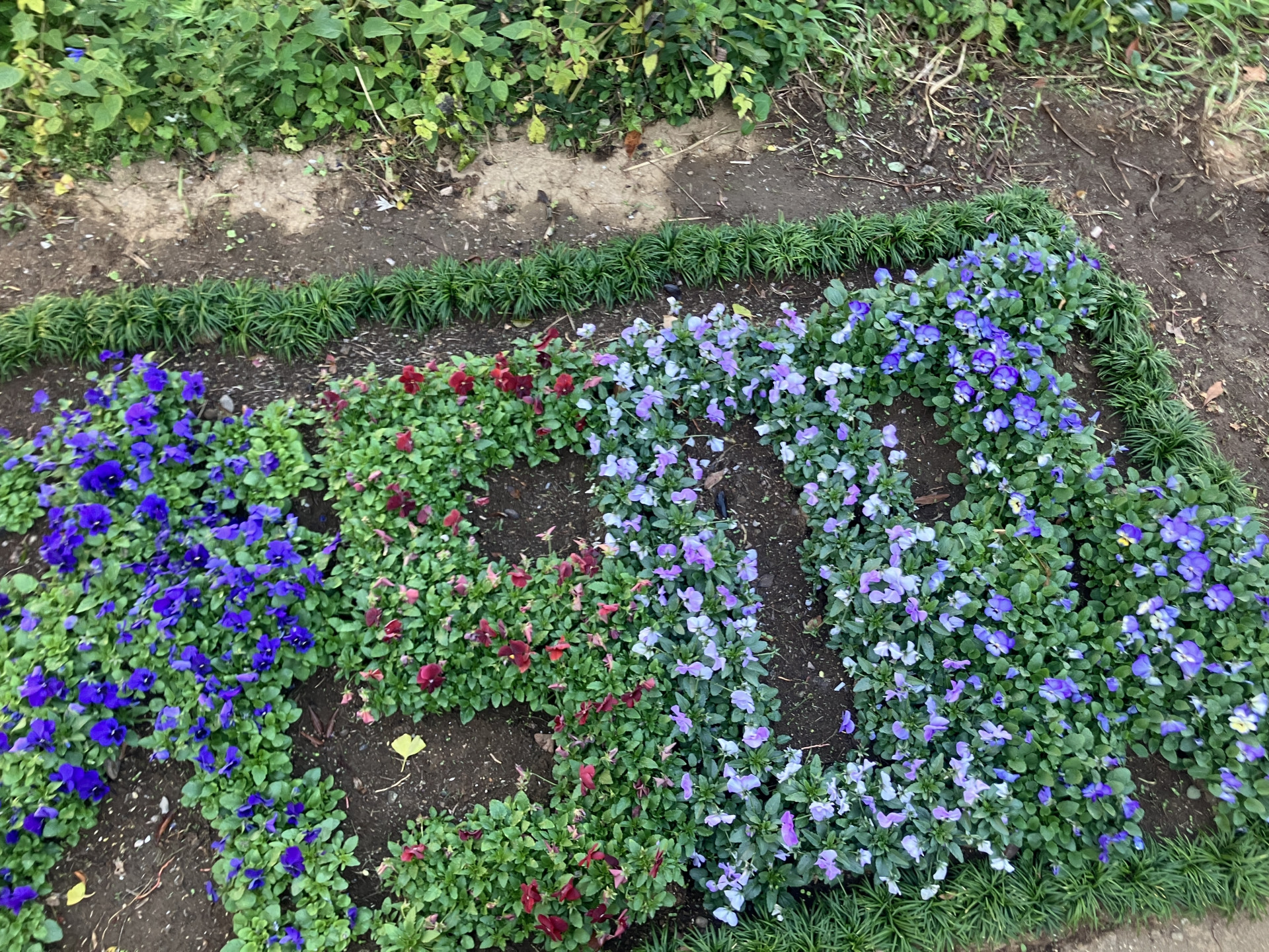 2025　花いっぱい活動　完成上から（HP用)